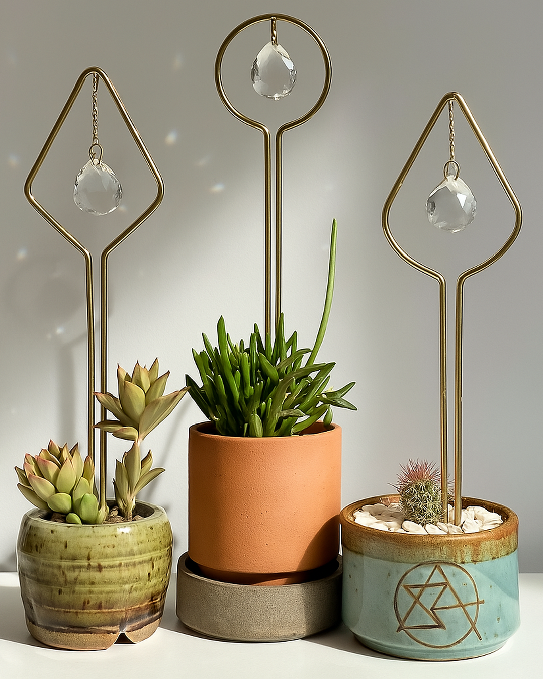 Plant Sun Catcher Stake Trio Bundle