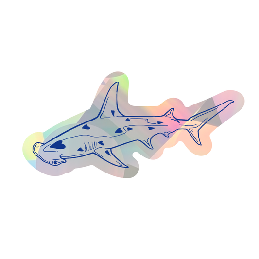 Shark Sun Catcher Sticker