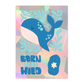 Little Rays Sun Catcher Sticker Bundle