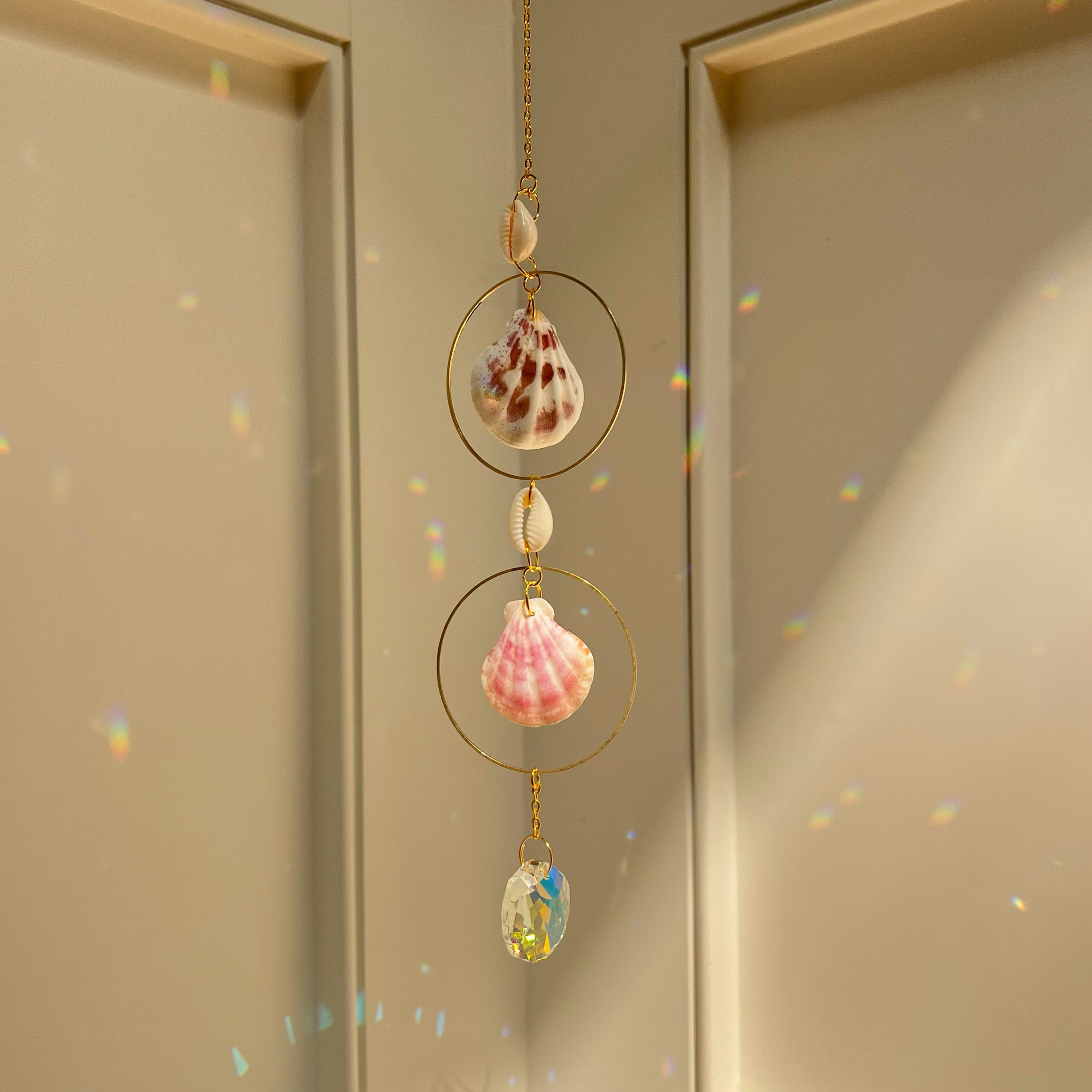 Shell Cattcher Hanging Sea Shell Sun Catcher | Rainbow Spaces
